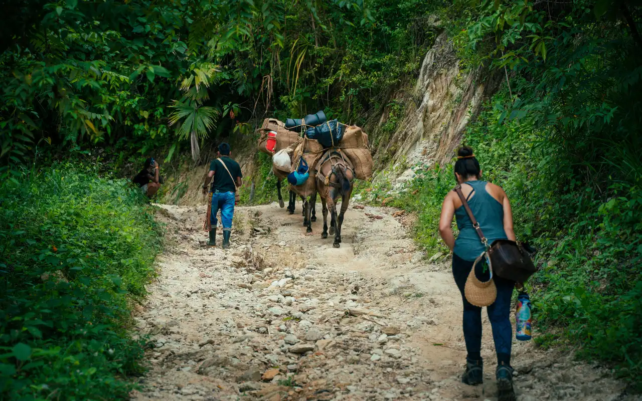 Ciudad Perdida trek | 3 días express desde Santa Marta - 2
