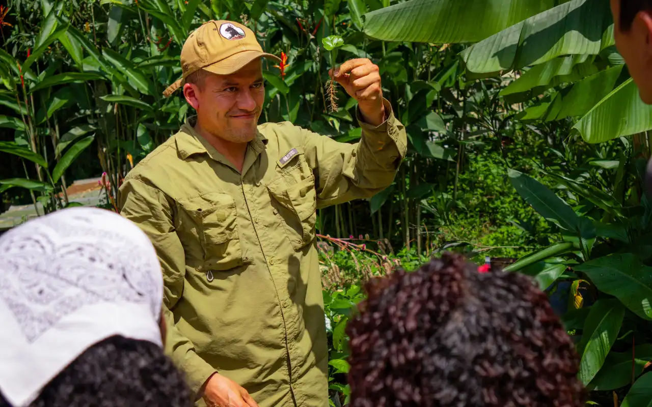 Tour a Minca: Experiencia de Café, Cacao y Cascadas - 3