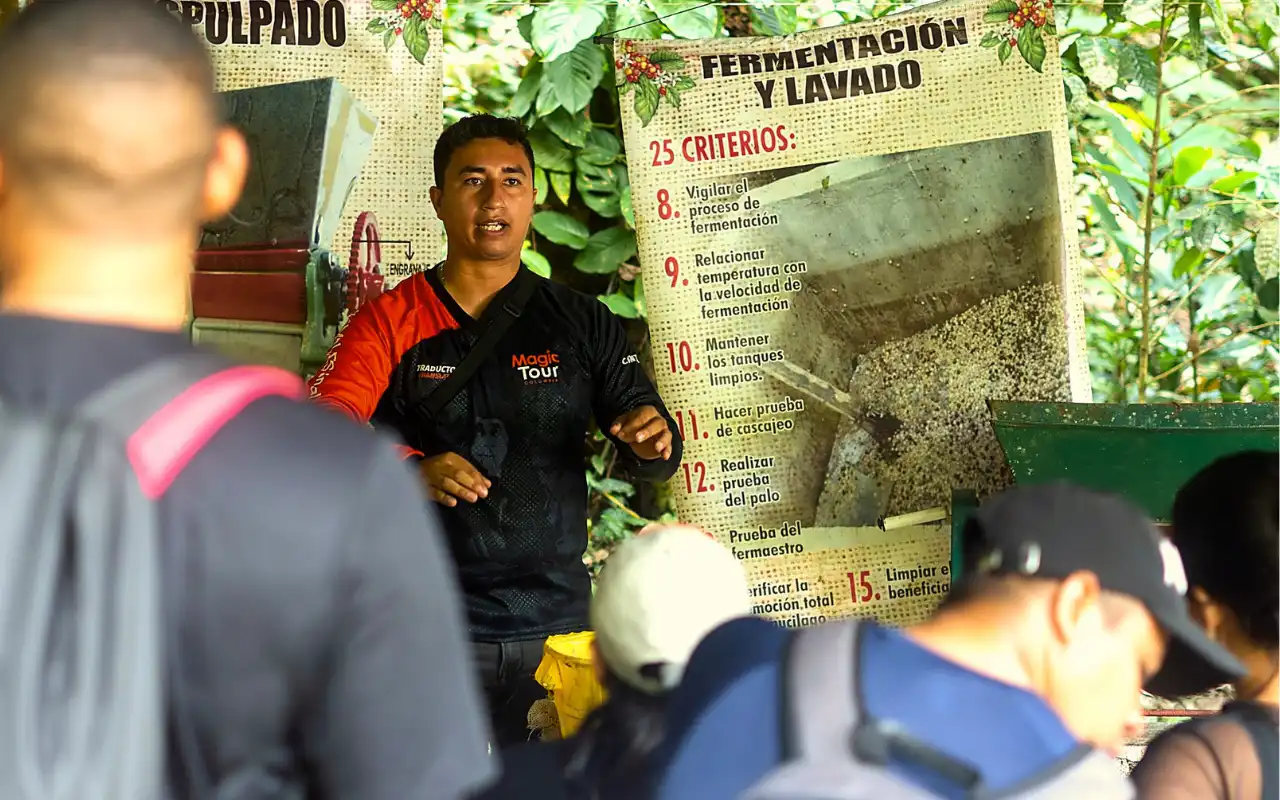 Tour a Minca: Experiencia de Café, Cacao y Cascadas - 8