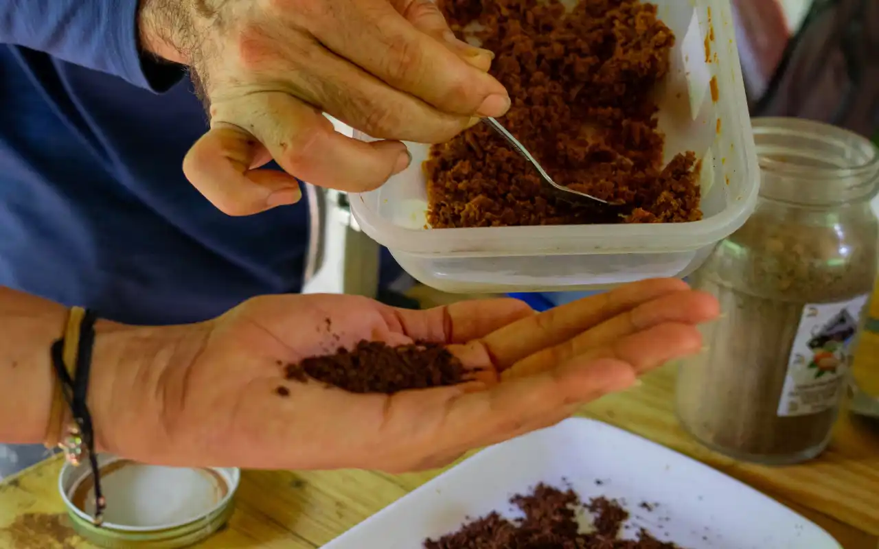 Tour a Minca: Experiencia de Café, Cacao y Cascadas - 10