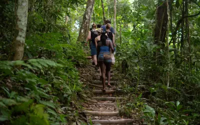 Minca Day Trip from Santa Marta: Nature, Coffee and Natural slides