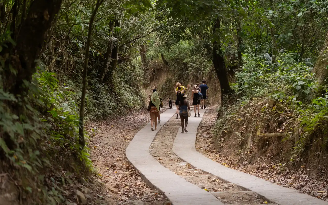 Excursión a Minca desde Santa Marta: Naturaleza, Café  y Pozas Naturales - 4