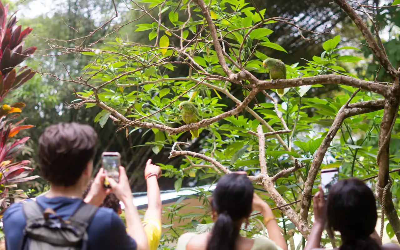 Excursión a Minca desde Santa Marta: Naturaleza, Café  y Pozas Naturales - 9