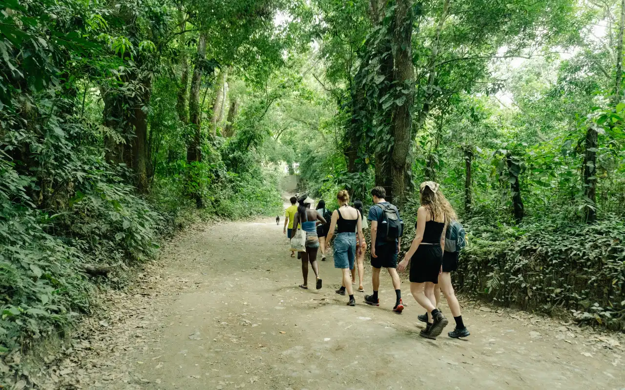 Excursión a Minca desde Santa Marta: Naturaleza, Café  y Pozas Naturales - 11