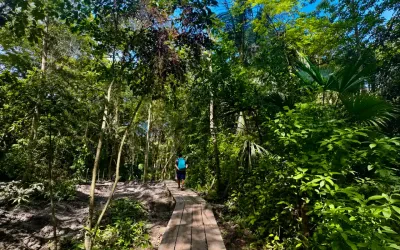 Cabo San Juan Tayrona: Guided Hike from Santa Marta