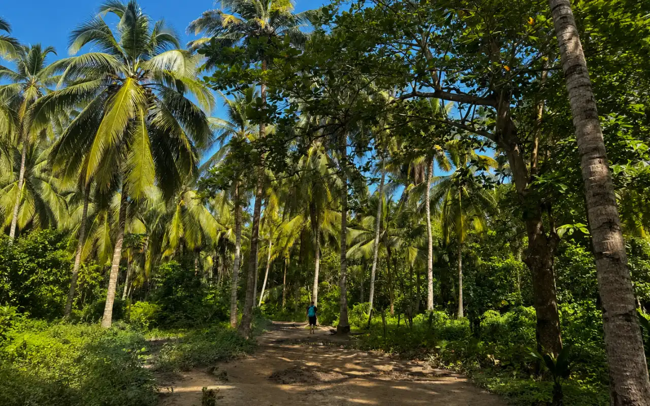 Cabo San Juan Tayrona: Guided Hike from Santa Marta - 2