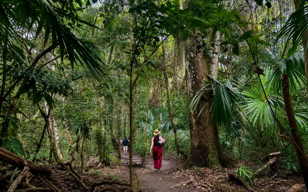 Cabo San Juan Tayrona: Guided Hike from Santa Marta - 5