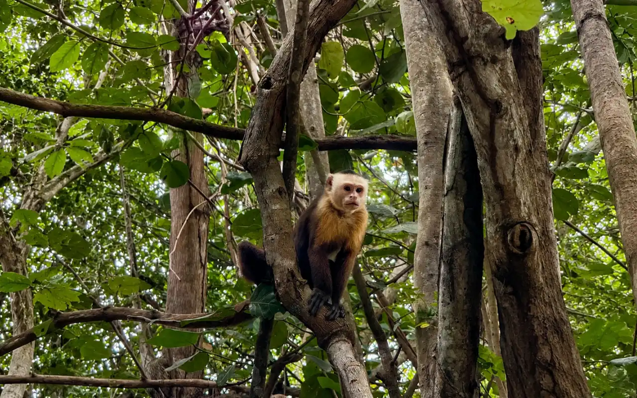 Cabo San Juan Tayrona: Guided Hike from Santa Marta - 8