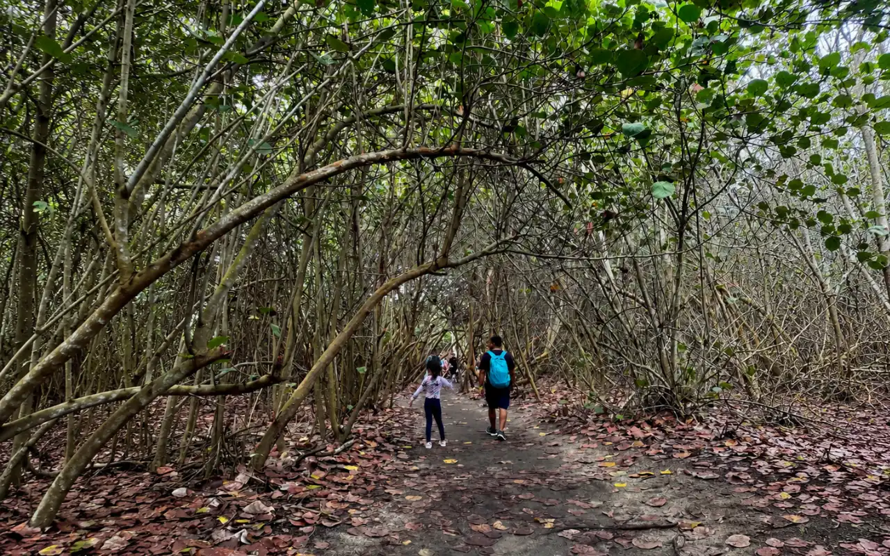 Cabo San Juan Tayrona: Guided Hike from Santa Marta - 11