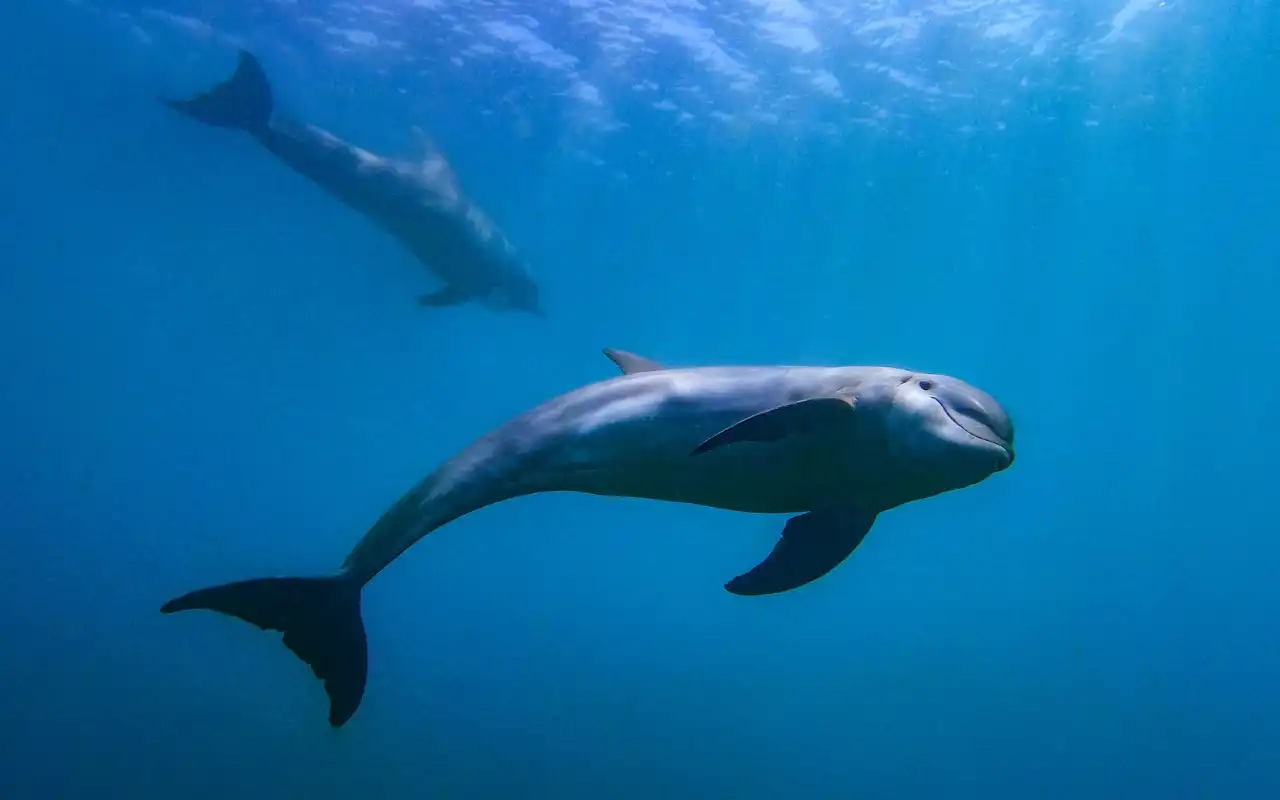 Tour Acuario Santa Marta: Centro de Vida Marina y Playa Blanca - 4