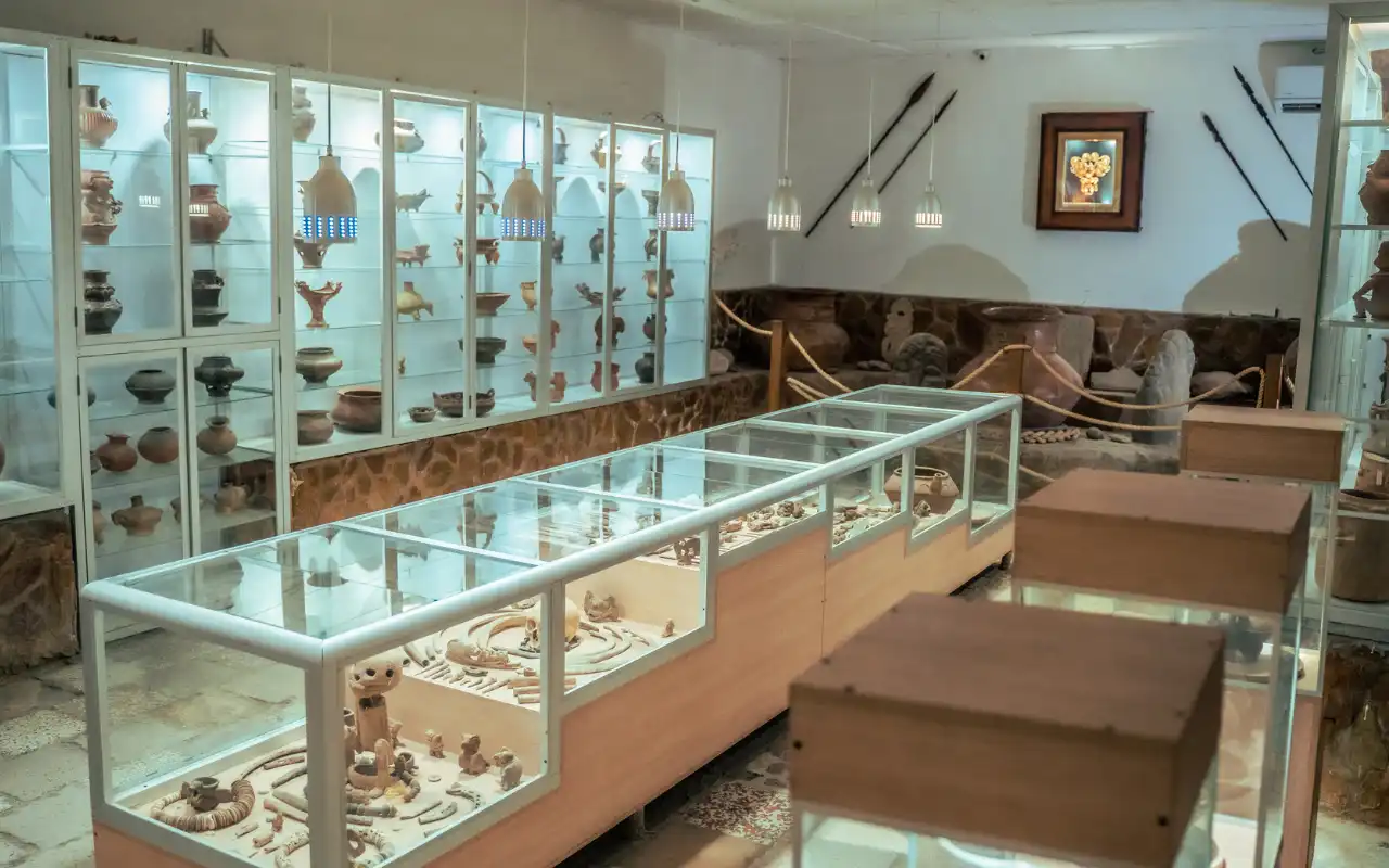 Tour Acuario Santa Marta: Centro de Vida Marina y Playa Blanca - 5