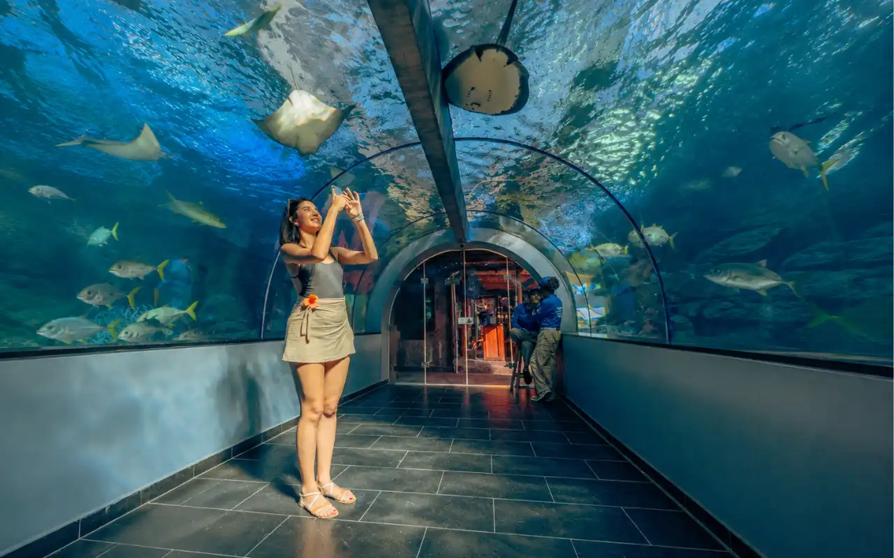 Tour Acuario Santa Marta: Centro de Vida Marina y Playa Blanca - 8