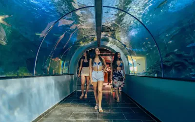Santa Marta Aquarium Tour: Centro de Vida Marina and Playa Blanca
