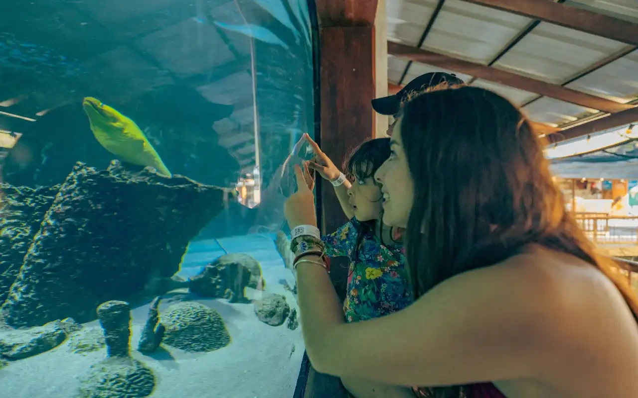 Tour Acuario Santa Marta: Centro de Vida Marina y Playa Blanca - 11