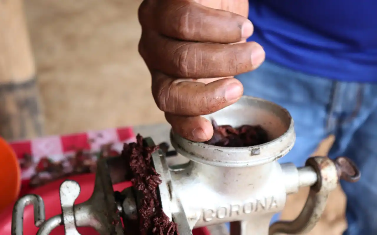 Tour Buritaca y Tayronaka: Cacao y Arqueología - 2