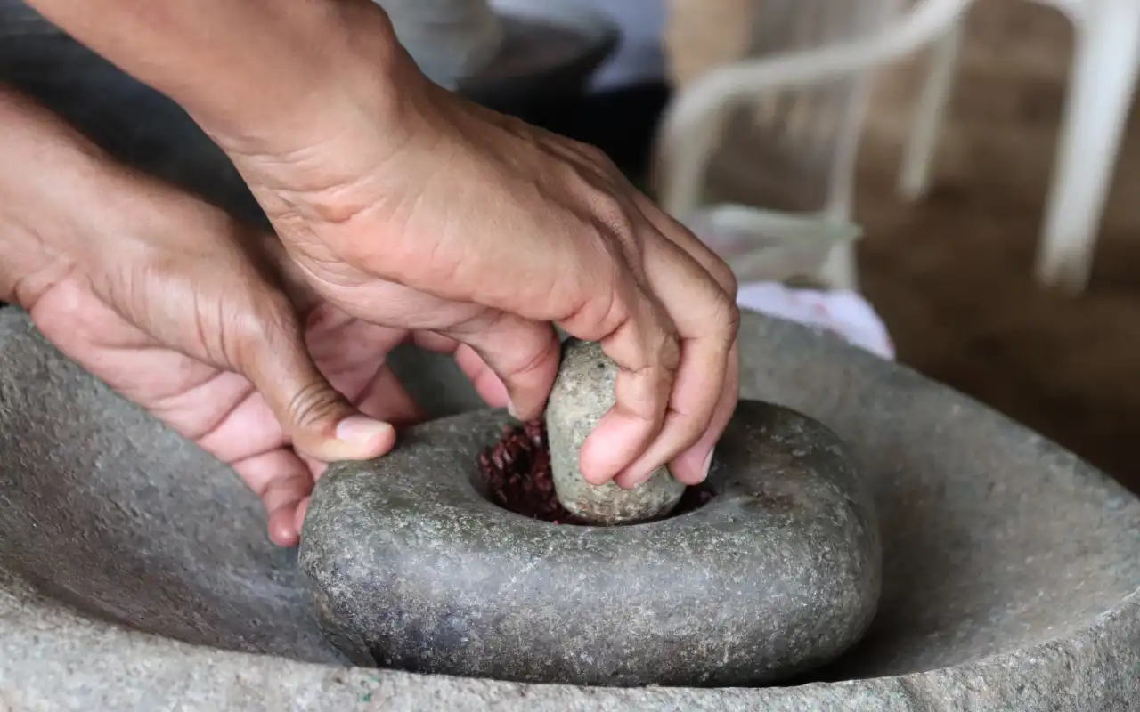 Tour Buritaca y Tayronaka: Cacao y Arqueología - 4