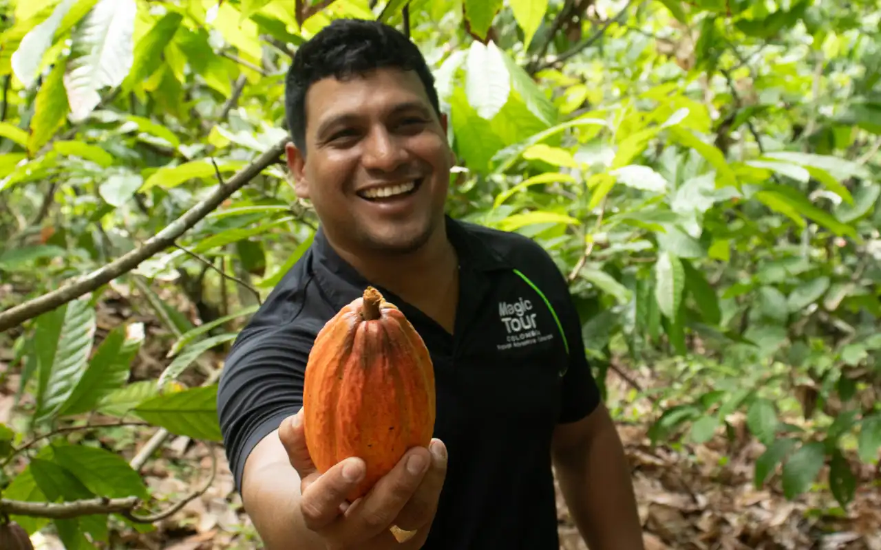 Tour Buritaca y Tayronaka: Cacao y Arqueología - 5