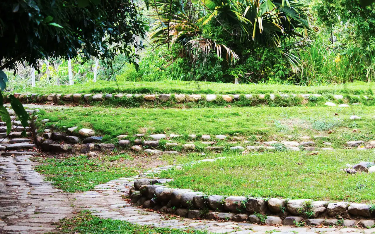 Tour Buritaca y Tayronaka: Cacao y Arqueología - 7