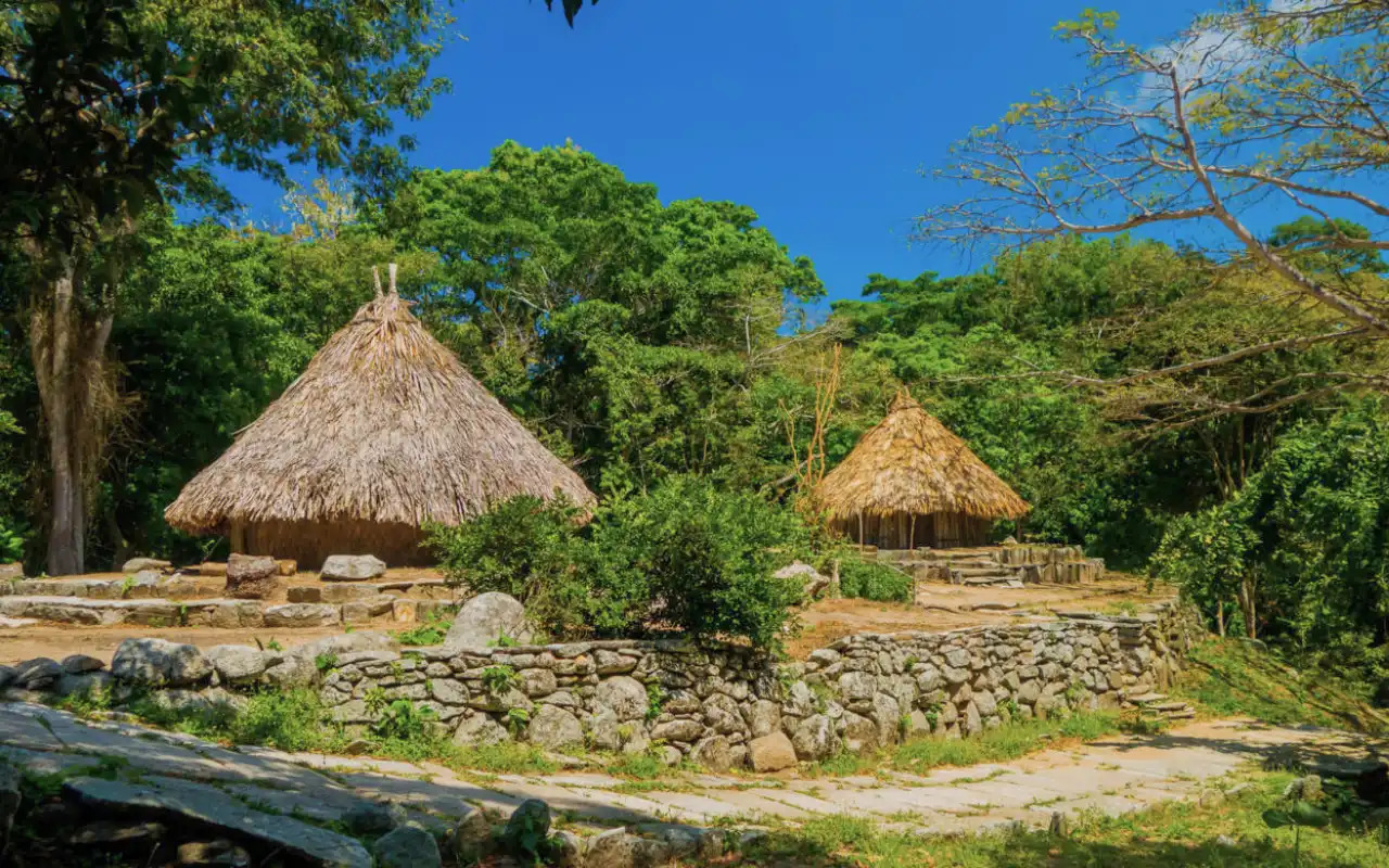 Tour Buritaca y Tayronaka: Cacao y Arqueología - 10
