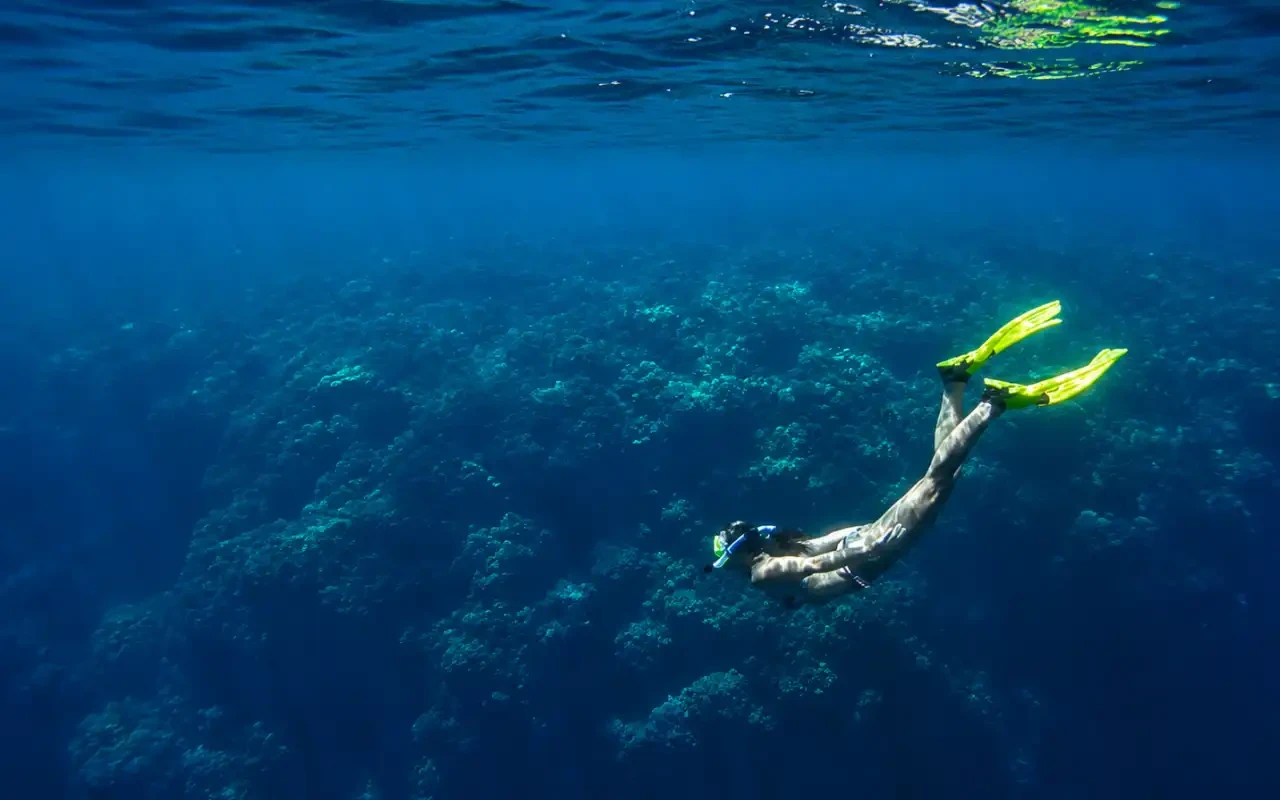 Snorkeling tour in Santa Marta and Tayrona