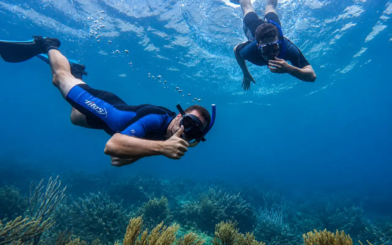 Snorkeling Tour in Santa Marta & Tayrona Reefs - 5