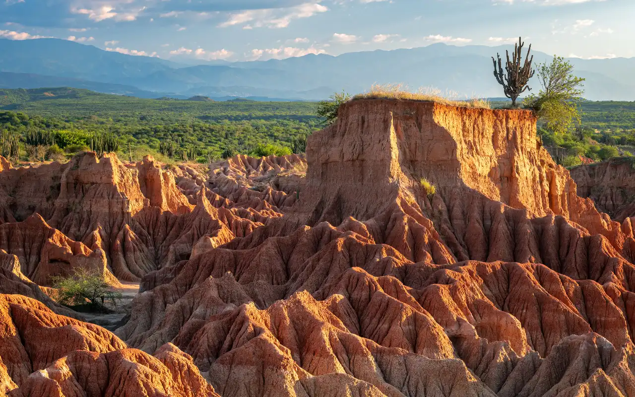 Tatacoa Desert: Day Tour from Villavieja - 3