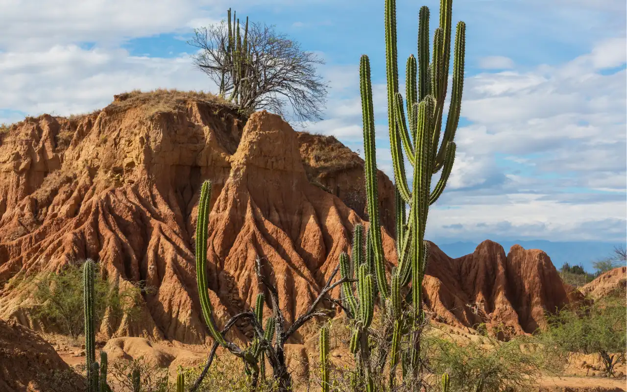 Tatacoa Desert: Day Tour from Villavieja - 4