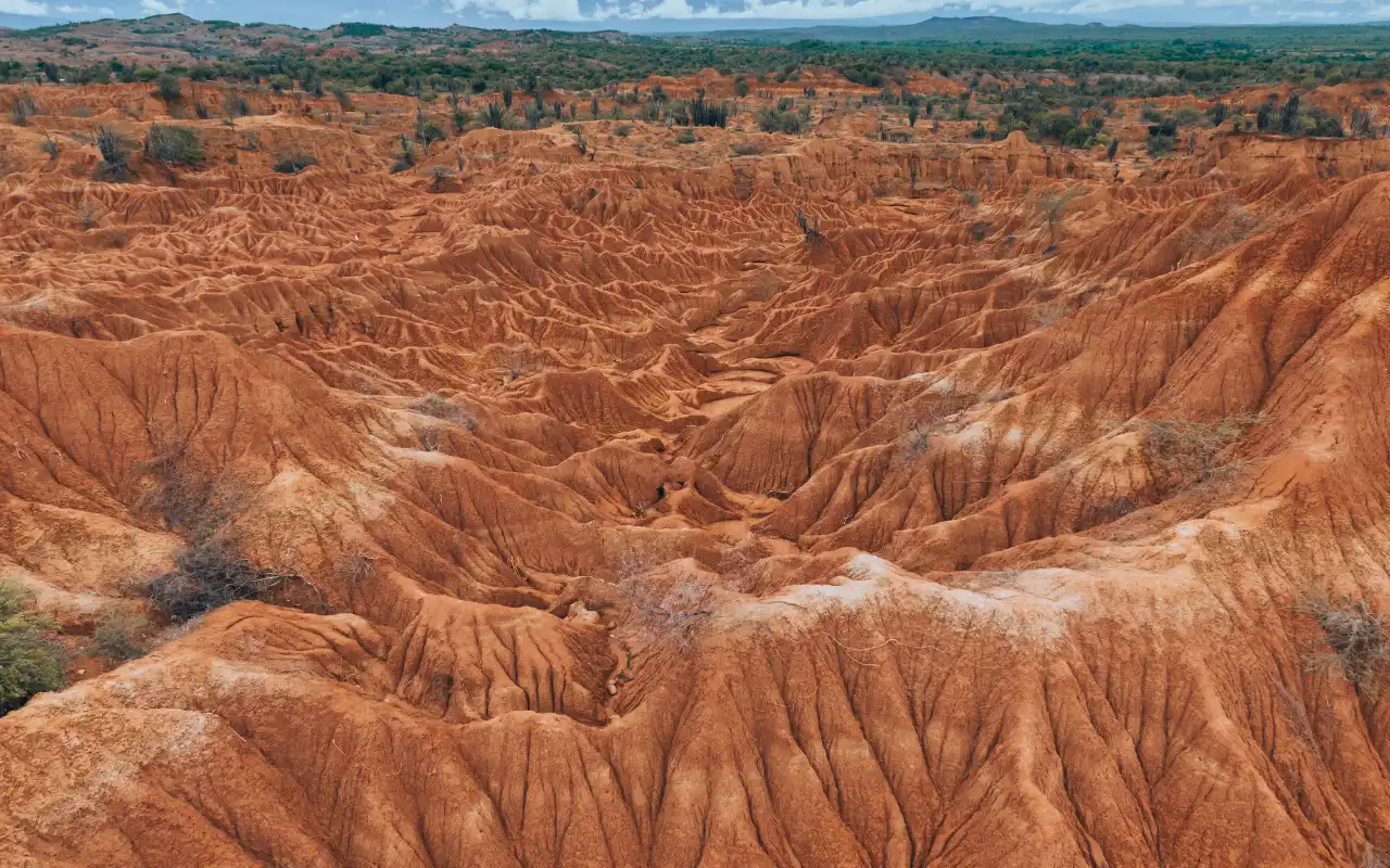 Tatacoa Desert: Day Tour from Villavieja - 5