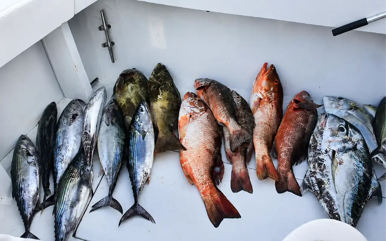 Fishing Tour Santa Marta: A Day with Local Fishermen - 2