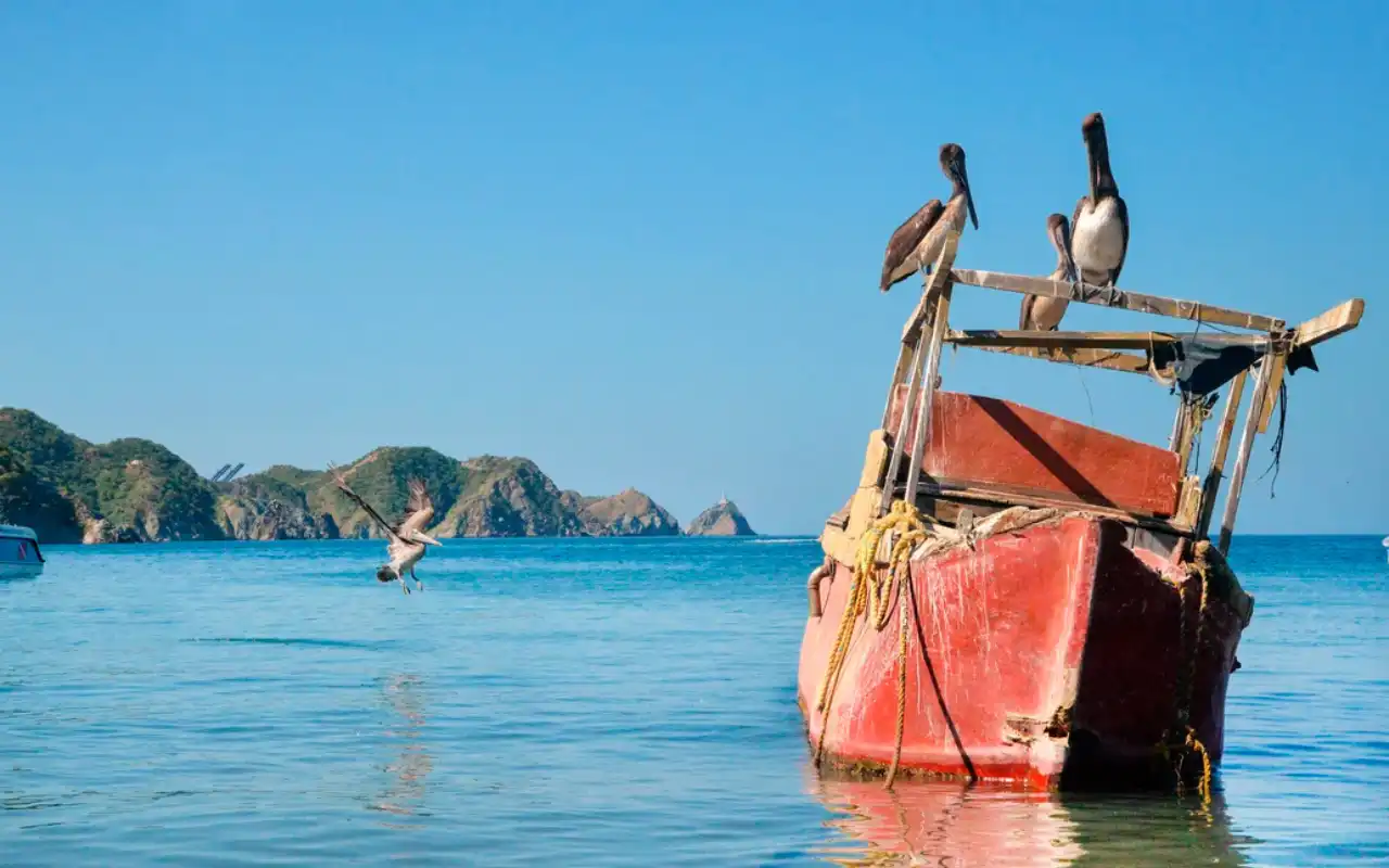 Fishing Tour Santa Marta: A Day with Local Fishermen - 4
