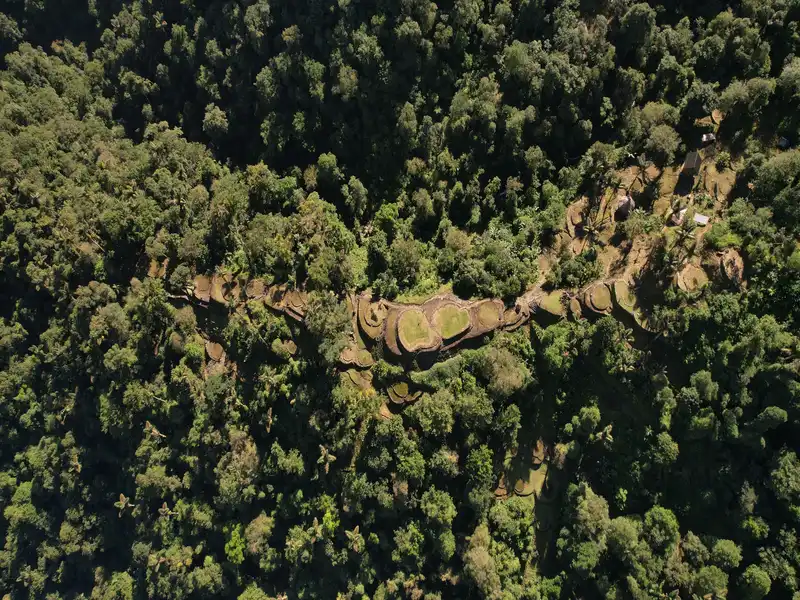 Lost City closure 2025