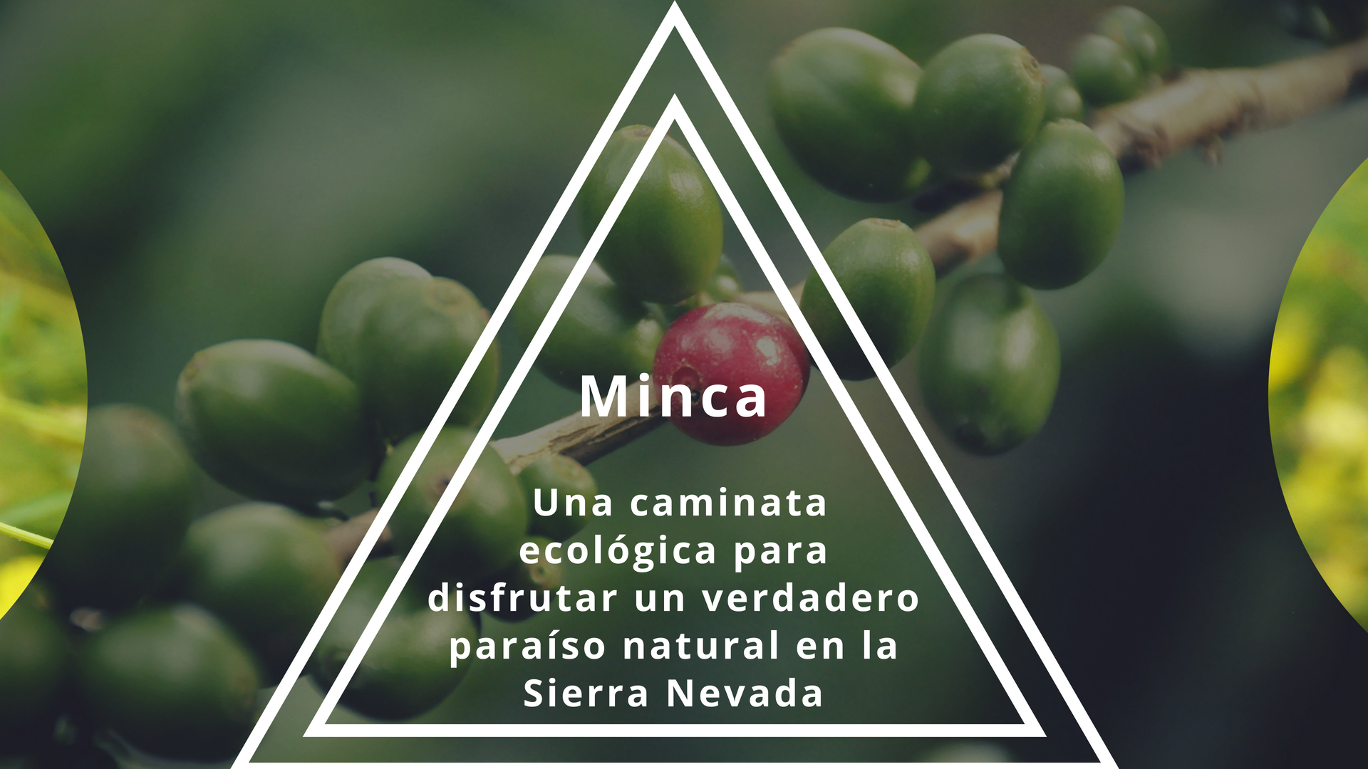 Imagen del blog