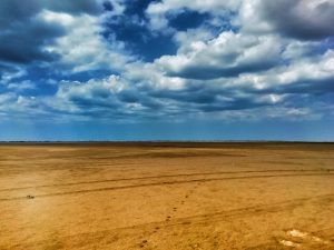 Desert Ahuyama