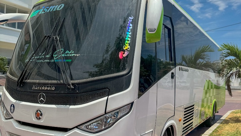Bus